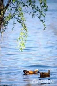 31℃！汉川未来三天天气……