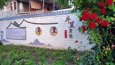 在“三小园”里种小小的种子 开幸福的花