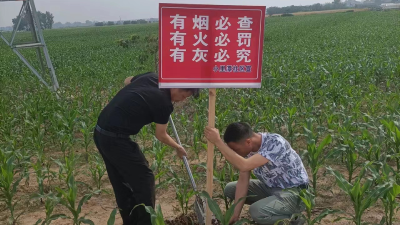 春季秸秆禁烧这个乡镇在行动