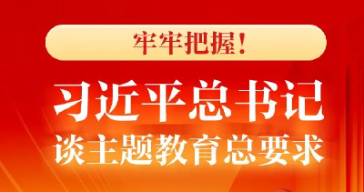 牢牢把握！习近平总书记谈主题教育总要求