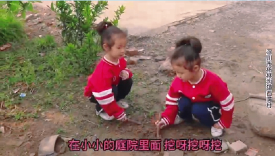 视频 | 挖呀挖呀挖 在杨林西湾 种“五共”的种子 开“幸福”的花