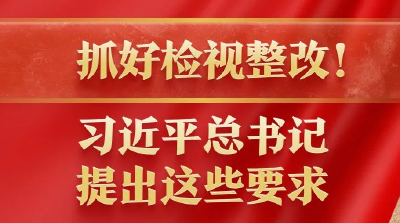 抓好检视整改！习近平总书记提出这些要求