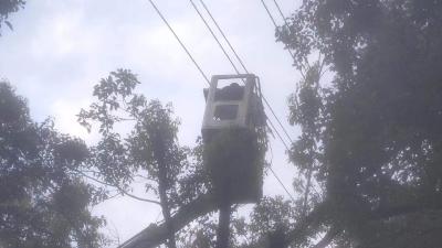 钢瓦卡在20米高空，看汉川城管“显身手”