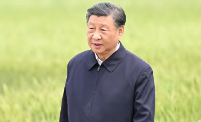 时政微观察丨像保护大熊猫一样保护耕地