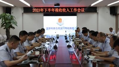 市税务局召开2023年下半年税收收入工作会