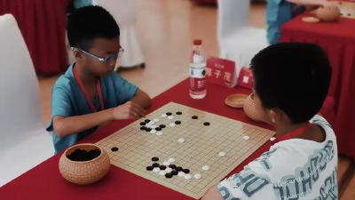 视频 | 4金2银4铜！汉川小将斩获佳绩
