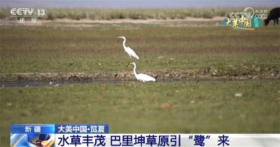 盛夏时节 航拍镜头下的中国风光壮美、生机勃勃