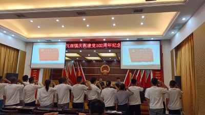 这个镇召开庆祝大会纪念建党102周年