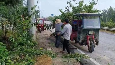 为公路“梳妆换颜” 打造美丽风景线