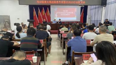 马口镇召开重点工贸企业安全生产培训暨2023年重大事故隐患专项整治行动推进会议