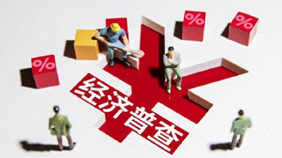 党建引领经济普查，离不开的红色身影