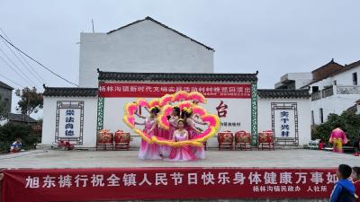 听说有春晚看？不是，是村晚哟！