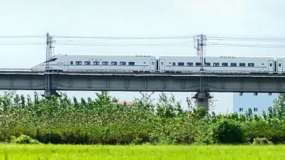 视频 | 开往秋天的列车