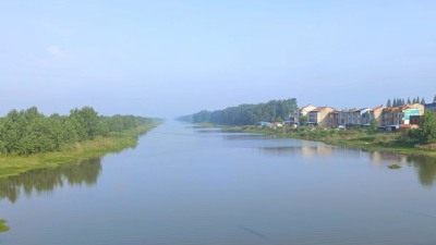 清理水葫芦等1200吨，汉川大力做好水环境保护工作