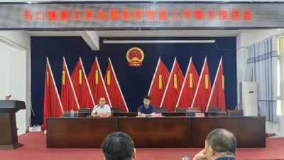 马口镇召开第五次全国经济普查工作督办推进会
