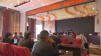 【视频】汉川市渔业发展协会顺利完成换届选举
