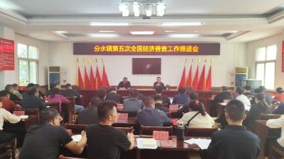 汉川市分水镇召开第五次全国经济普查工作推进会