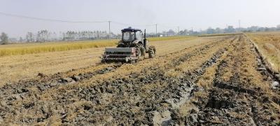 万亩油菜全面开播！