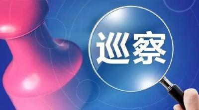 “纪巡审”优势互补，叠加效应不断放大
