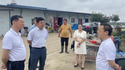 发挥审计职能 关注乡村产业发展