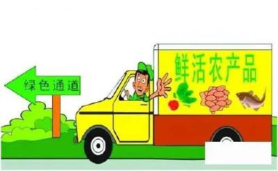 多点发力，助推“绿色通道”政策落地惠民