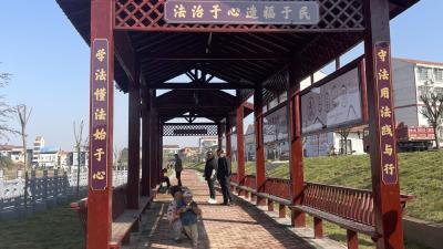 “凉亭文化”为社区点亮了新风景