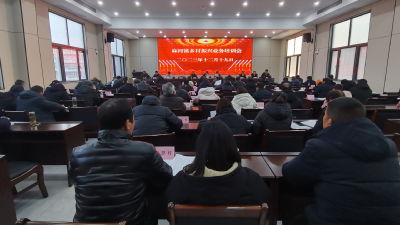 充电赋能 麻河镇召开乡村振兴业务培训会