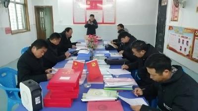 开展支部“巡整”，推进党支部标准化、规范化建设