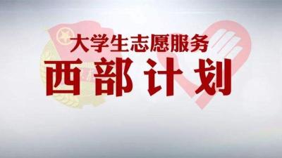 无奋斗 不青春！