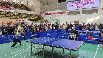 汉川举办第十七届小学生乒乓球比赛