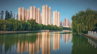 美文 | 冬日暖阳