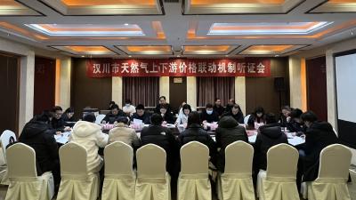 汉川市天然气上下游价格联动机制听证会召开