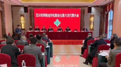 汉川市供销合作社联合社召开第六次代表大会