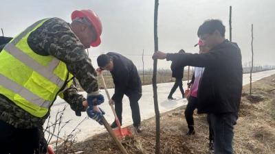 麻河：同种一棵树，共建同心林