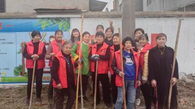 学习雷锋我行动 清扫环境迎春风