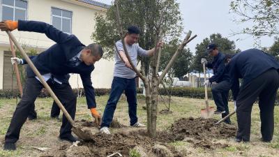 播种绿色希望 共建靓丽沉湖