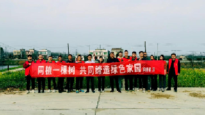 垌塚镇：义务植树添新绿 不负春光树清风