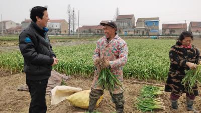 万象“耕”新 不误农时不负春