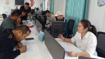 杨林沟镇：谁说女子不如男，看她成了领头雁