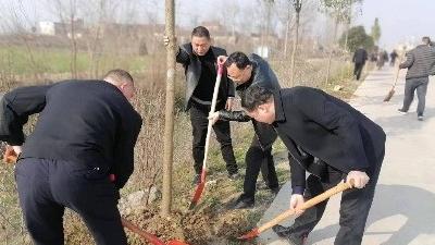新堰镇：义务植树添新绿