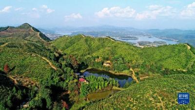 白雪换白银换来了吗？”｜两会问答·总书记的牵挂⑤