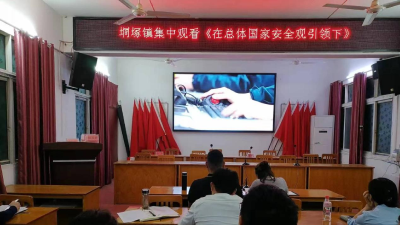 垌塚镇组织集中观看《在总体国家安全观引领下》