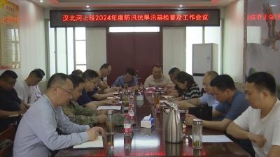 【视频】市领导检查汉北河上段防汛备汛工作