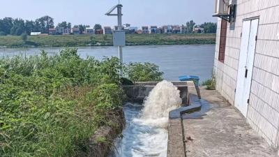 庙头镇王家台村全力抽水保秧苗