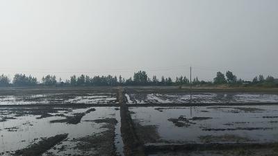 韩集乡窑场村4293亩农田“解渴”了！