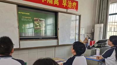 “情系端午 万粽一心”汉川市金马中学开展端午节主题实践活动