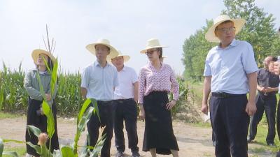 【视频】省政协调研组到我市开展“加强耕地‘三位一体’保护”专项民主监督调研活动