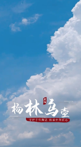 视频 | 湖北汉川：杨林乌壶申报省级非物质文化遗产