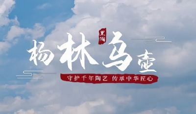 视频 | 湖北汉川：杨林乌壶申报省级非物质文化遗产