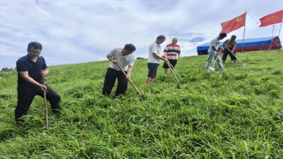 一批“90后”年轻干部驻守在防汛大堤上